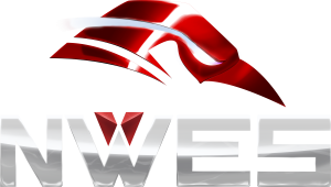 Northern World Entertainment Software Inc. logo Northern World Entertainment Software Inc.