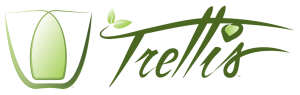 Trellis Transit Technologies, Inc. Trellis Transit Technologies, Inc. logo